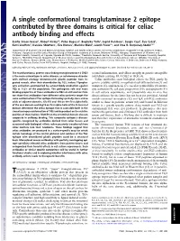 A Single Conformational Transglutaminase 2 Epitope Contributed by Three Domains Is Critical for Celiac Antibody Binding and Effects