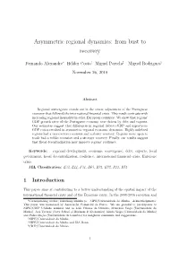 Asymmetric Regional Dynamics: from Bust to Recovery