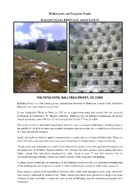 Dovecote, Ballybeg Priory