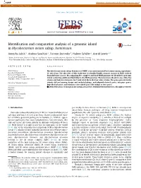 Identification and Comparative Analysis of a Genomic Island in Mycobacterium Avium Subsp. Hominissuis