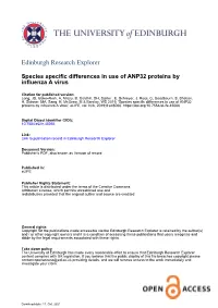 Species Specific Differences in Use of ANP32 Proteins by Influenza a Virus