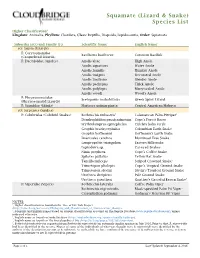 Squamate (Lizard & Snake) Species List
