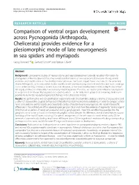 Comparison of Ventral Organ Development Across Pycnogonida