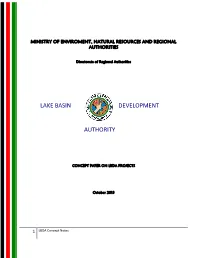 Lake Basin Authority Development