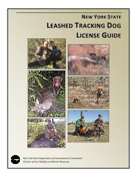 New York State Leashed Tracking Dog Guide