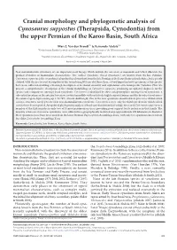 Cranial Morphology and Phylogenetic Analysis of Cynosaurus Suppostus (Therapsida, Cynodontia) from the Upper Permian of the Karoo Basin, South Africa