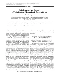 Polyphosphates and Enzymes of Polyphosphate Metabolism in Escherichia Coli