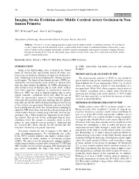 Imaging Stroke Evolution After Middle Cerebral Artery Occlusion in Non- Human Primates