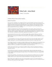 Philip Taaffe – Anima Mundi
