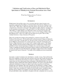Statement of Work