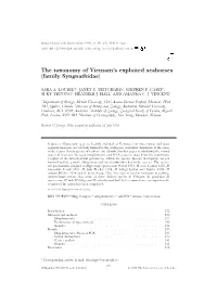 The Taxonomy of Vietnam's Exploited Seahorses (Family Syngnathidae)