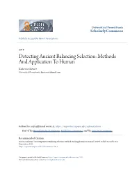 Detecting Ancient Balancing Selection: Methods and Application to Human Katherine Siewert University of Pennsylvania, Kmsiewert@Gmail.Com