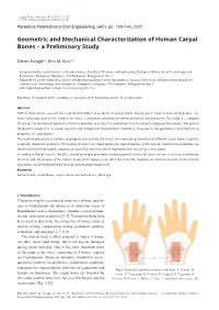 Geometric and Mechanical Characterization of Human Carpal Bones – a Preliminary Study