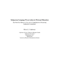 Indigenous Language Preservation in Mexican Education the Need for Mexico to Act on Its Commitment to Preserving Indigenous Languages