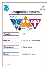 Internal Pudendal Artery (Course and Relation)