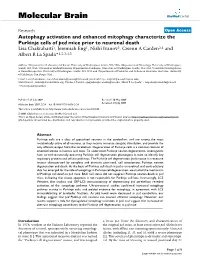 Viewed, and Verify Tissue Integrity and Assure the Success of the Per- Digital Scans Were Recorded Using a Zeiss 510 Multi-Pho- Fusion