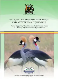 CBD Strategy and Action Plan
