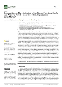 Composition and Specialization of the Lichen Functional Traits in a Primeval Forest—Does Ecosystem Organization Level Matter?