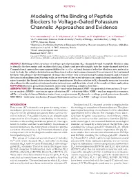 Modeling of the Binding of Peptide Blockers to Voltage-Gated Potassium Channels: Approaches and Evidence
