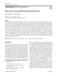Why Is There No Successful Whole Brain Simulation (Yet)?