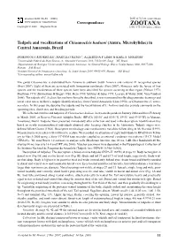 Zootaxa, Tadpole and Vocalizations of Chiasmocleis Hudsoni