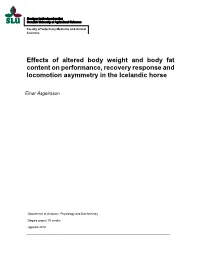 Effects of Altered Body Weight and Body Fat Content on Performance, Recovery Response and Locomotion Asymmetry in the Icelandic Horse