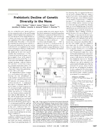 Prehistoric Decline of Genetic Diversity in the Nene