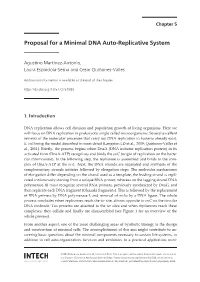 Proposal for a Minimal DNA Auto-Replicative System