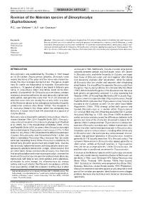 Revision of the Malesian Species of Dimorphocalyx (Euphorbiaceae)