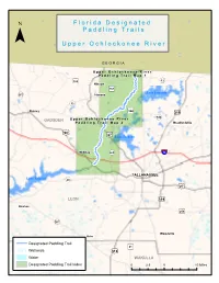 Upper Ochlockonee River Paddling Guide