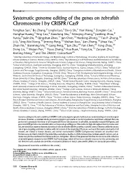 Systematic Genome Editing of the Genes on Zebrafish Chromosome 1 by CRISPR/Cas9