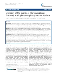 Evolution of the Bamboos