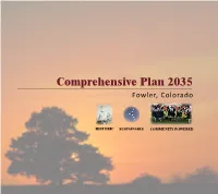 Fowler Comprehensive Plan