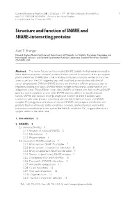 Structure and Function of SNARE and SNARE-Interacting Proteins