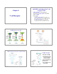 T Cell Receptor