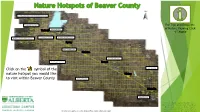 Hotspot You Would Like to Visit Within Beaver County Daysland Property