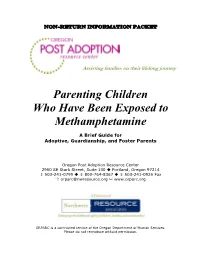 Parenting Children Who Have Been Exposed to Methamphetamine