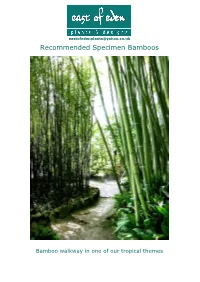 Recommended Specimen Bamboos