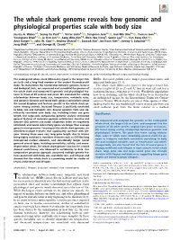 The Whale Shark Genome Reveals How Genomic and Physiological Properties Scale with Body Size