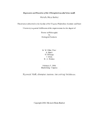 Expression and Function of the Chloroplast-Encoded Gene Matk