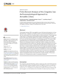 Finite Element Analysis of the Cingulata Jaw: an Ecomorphological Approach to Armadillo’S Diets