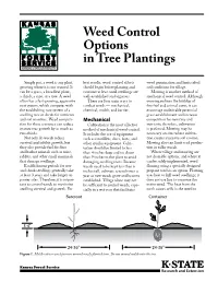 L848 Weed Control Options in Tree Plantings