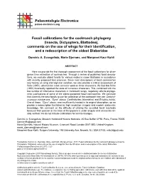 Fossil Calibrations for the Cockroach Phylogeny (Insecta, Dictyoptera, Blattodea)