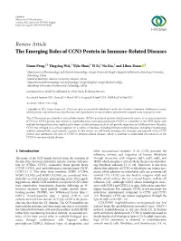 The Emerging Roles of CCN3 Protein in Immune-Related Diseases