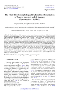 The Reliability of Morphological Traits in the Differentiation of Bombus