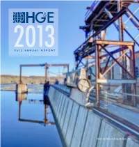 2013 Annual Report