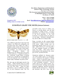 EUROPEAN GRAPE VINE MOTH (Lobesia Botrana)