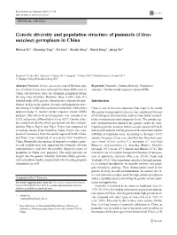 Genetic Diversity and Population Structure of Pummelo (Citrus Maxima) Germplasm in China