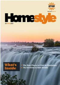 Homestyle Newsletter