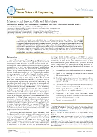 Mesenchymal Stromal Cells and Fibroblasts Christine Ulrich1, Melanie L